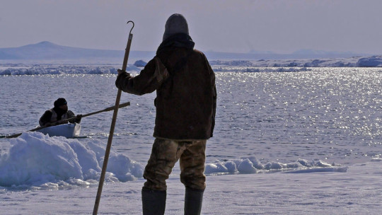 В Вологде пройдут бесплатные показы Арктического международного кинофестиваля «Золотой ворон»